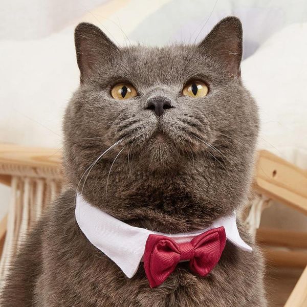 

cat costumes adjustable pets dog bow tie pet costume necktie collar for small dogs puppy grooming accessories halloween