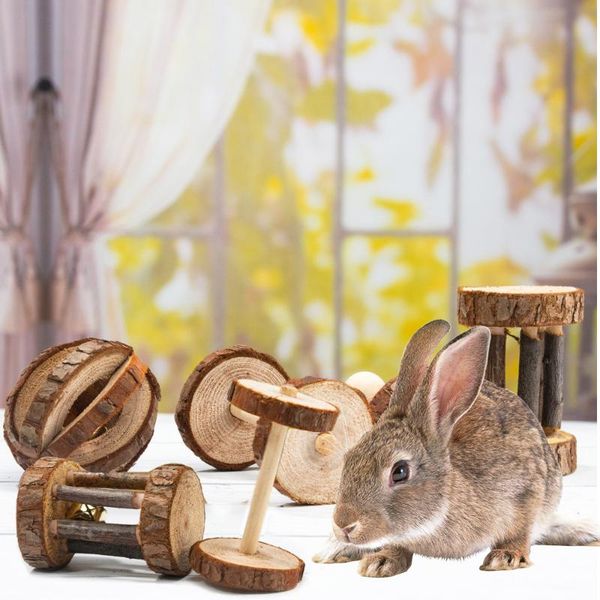 

wooden pet hamster toys pine dumbells unicycle bell roller chew balls for rabbits rats dog catstoy molars supplies small animal