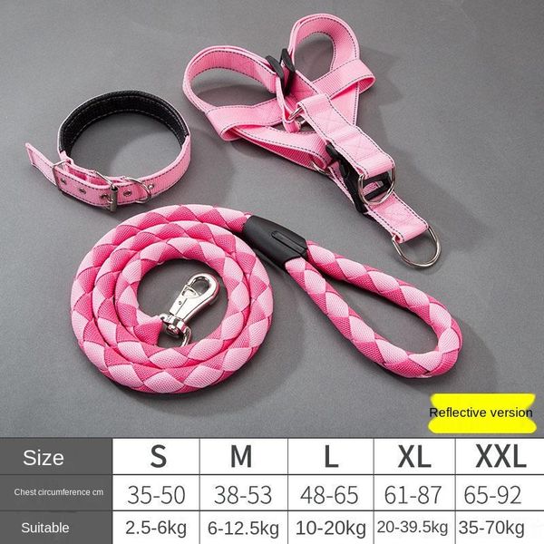 

dog leash, chain collar, medium and large dog, golden retriever, labrador pet products collars & leashes