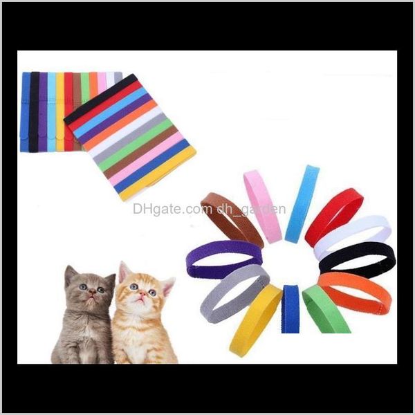 Tag, Ausweiszubehör Hausgarten Drop Lieferung 2021 Halsbandidentifikation Ausweishalsbänder Band für Welpe Welpe Kätzchen Hund Haustier Katze Veet Praktisch