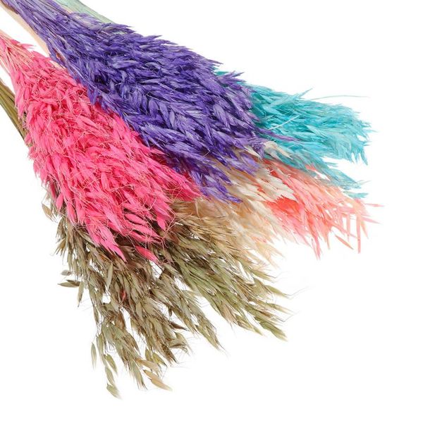 

decorative flowers & wreaths 1bunch dried pampas wedding flower bunch reed natural home bulrush bouquets flavorful decor