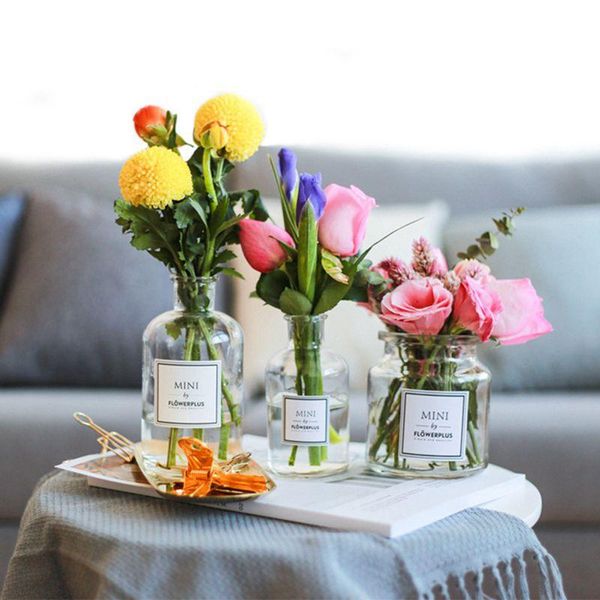 

vases ins glass vase simple creative ornaments living room european transparent flower arrangement dried container