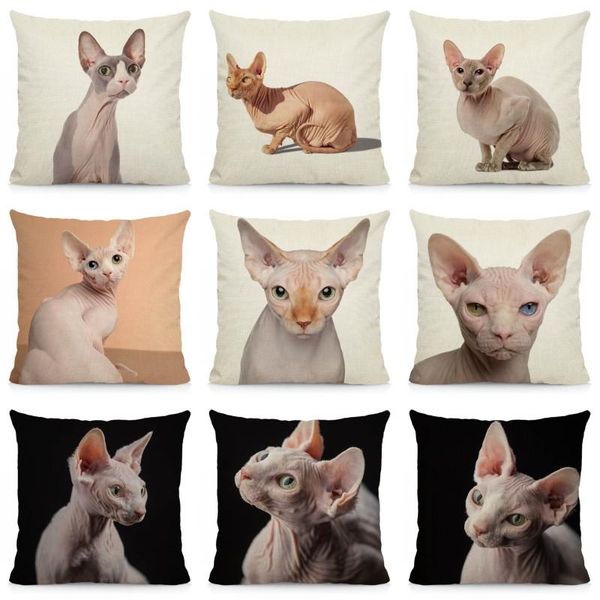 

cushion/decorative pillow xunyu cute canadian hairless cushion cover animal print throw case home decoration sofa pillowcase 45x45cm dwm007