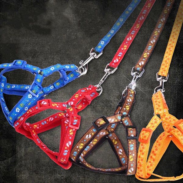 

dog collars & leashes no pull printed harness leash set pet vest lead for small meduim large dogs puppy perfect daily training walking s m l
