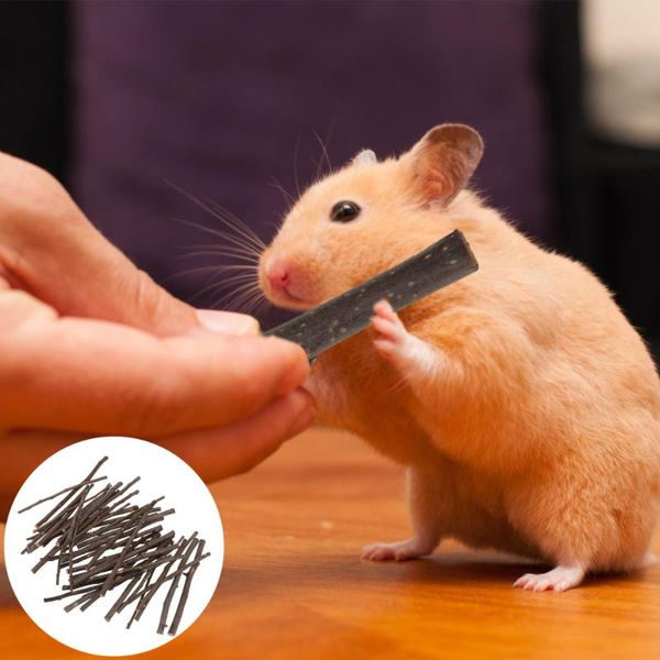 

small animal supplies 200g teeth grinding funny hamster molar apple wooden stick interactive chew toys