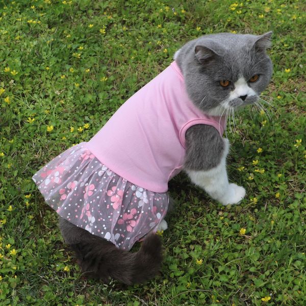 Abiti in maglia per animali domestici T-shirt con gilet per animali domestici con stampa floreale Abbigliamento per cani Abbigliamento per cani Teddy Bulldog all'aperto