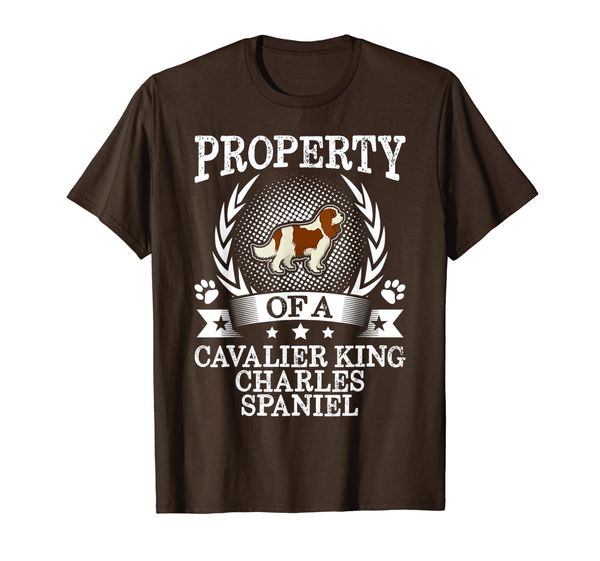 

property of a cavalier king charles spaniel shirt cute gift t-shirt, White;black