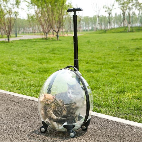 

dog car seat covers 2021 pet cat bag bubble box portable transparent trolley large breathable space capacity
