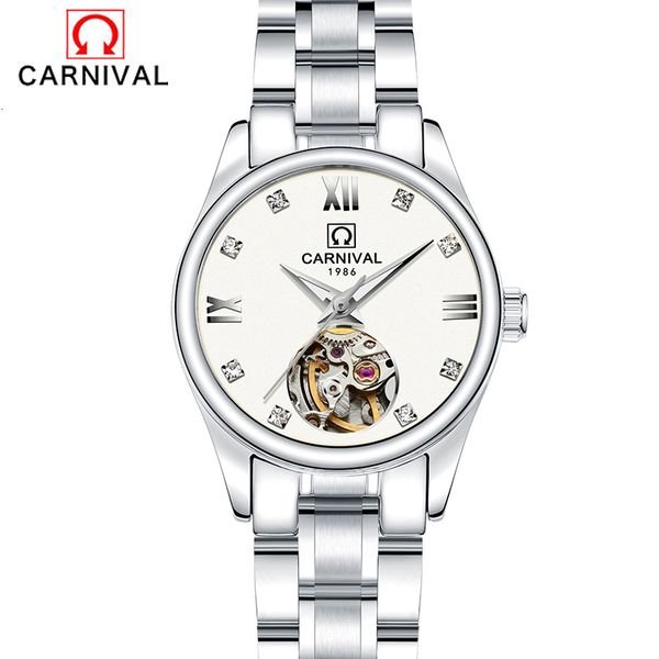 

luxury steel watches women mechanical diamonds sier wrist fashion leisure waterproof clock ladies 2017, Slivery;brown