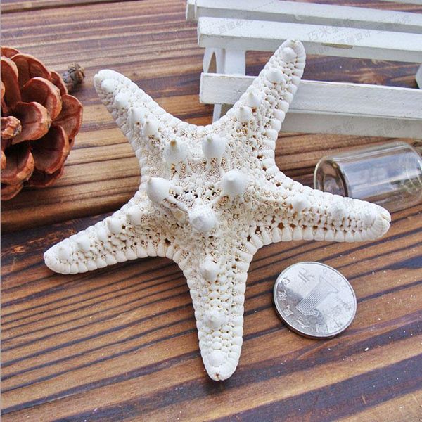 

novelty items 1pcs mini starfish craft decoration natural mediterranean sea stars diy beach cottage kids bedroom living room decor