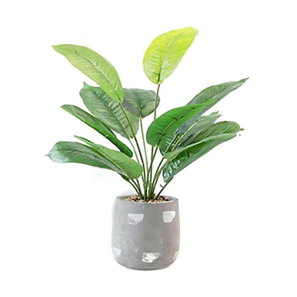 

decorative flowers & wreaths high leaf zen arrowroot simulated green plant home decoration high-quality office el ornamental lifelike artifi