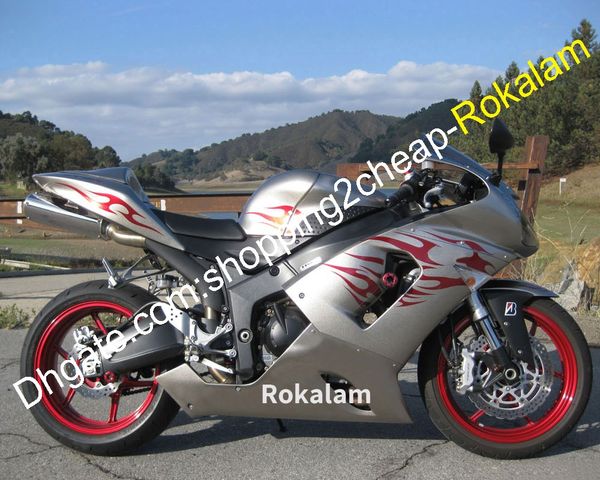 Для Kawasaki Ninja запчастей ZX-6R 05 06 ZX6R 636 ZX636 2005 2006 Red Flame Silver ABS ABS мотоцикл комплект (литье под давлением)