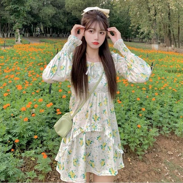 

casual dresses years the spring and autumn period french broken beautiful little fairy s long sleeve platycodon, Black;gray