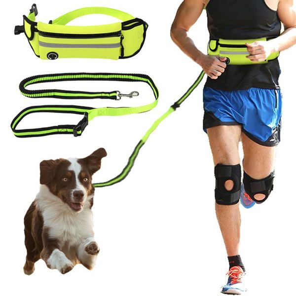 

dog collars & leashes pet elastic belt running leash set hands collar pets accessories puppy harness for