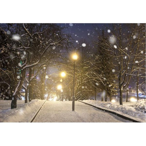 

party decoration winter street lights decor backdrop forest snow scene background borns pography xmas family po booth