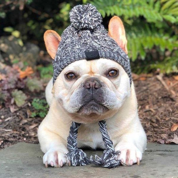 

pet headgear dogs winter warm hat windproof dog wool knitting accessories puppy costume apparel