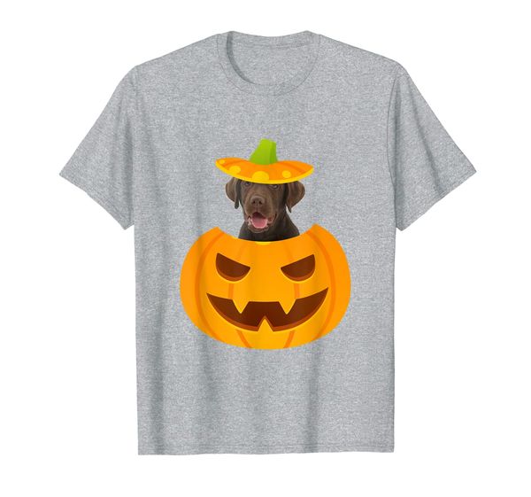 

Chocolate Lab Peeking out of Jack-o-Lantern T-Shirt, Mainly pictures