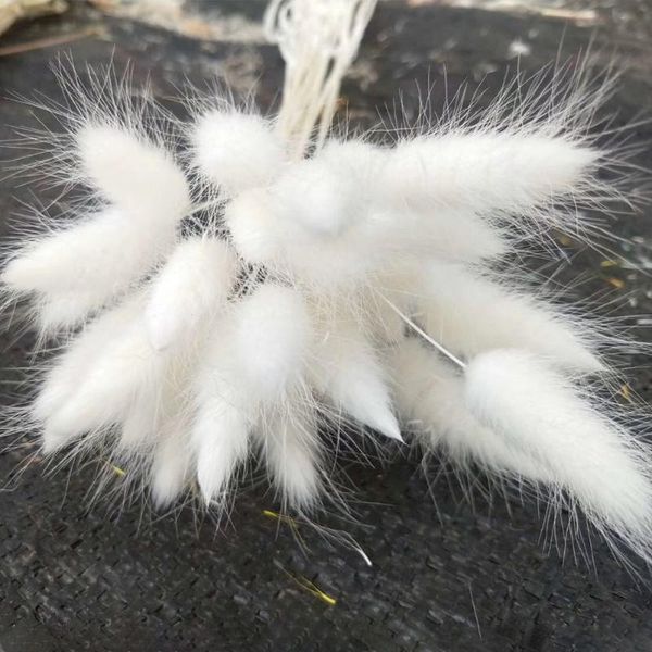 

30pcs natural tail grass dried flower party artificial home decor bouquet florist eco friendly ornament lagurus ovatus decorative flo flower