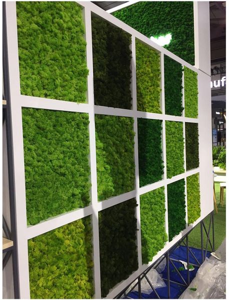 

decorative flowers & wreaths 200g/bag artificial green plants immortal fake flower moss grass home garden wall diy accessories