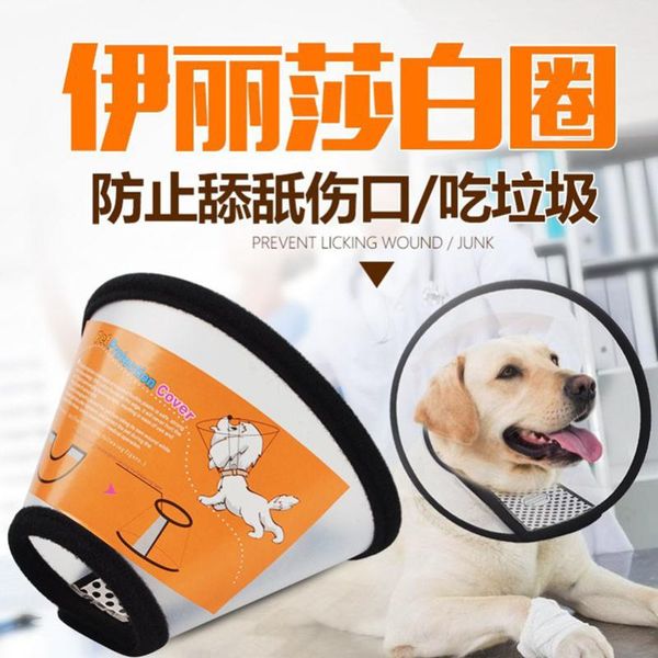 

pet dog cat products anti lick bat grab collar goods collars & leashes