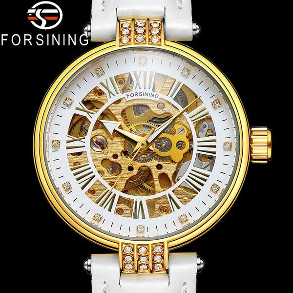 

wristwatches forsining women wristwatch classic female clock gold automatic mechanical waterproof ladies watch 8175, Slivery;brown