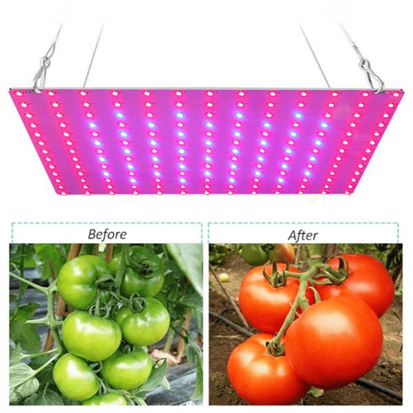 

grow lights 1pcs quantum board led light panel full spectrum lamps fill for greenhouses indoor plants phytolamp