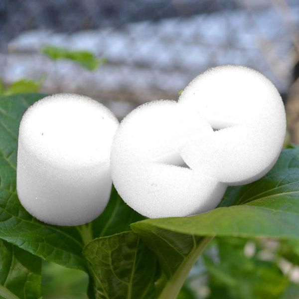 

planters & pots 50 cylinder sponges and cups rhizome vegetable garden plants soilless hydroponics sponge decoration plastic plus