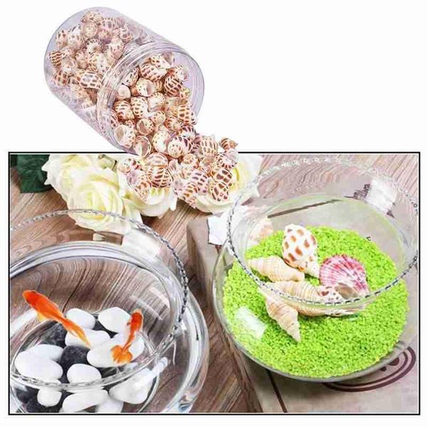

novelty items 1 box natural conch shells mini corn screw wall deco diy aquarium landscape seashells crafts party decor wedding supply