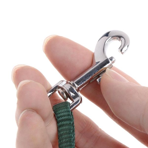 

other bird supplies parrot leash - outdoor adjustable harness training rope anti bite flying band, for small size birds african grey cockato