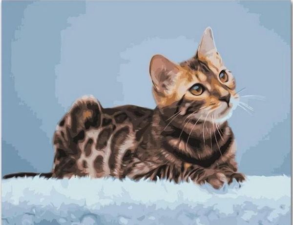 

paintings for home wall decoration adults kids zero-based oil painting kit handpainted artcrafts by numbers of cute cat animals