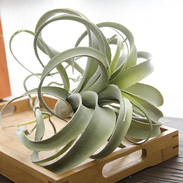 

decorative flowers & wreaths plastic plant succulent air plants real-touch wedding home bouquet wall decor