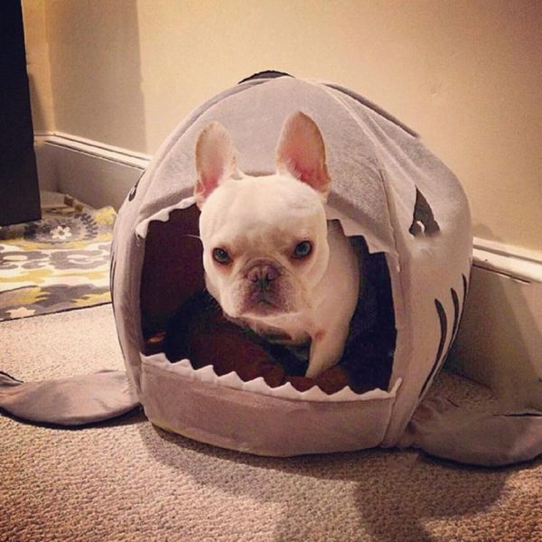 

kennels & pens princess dog puppy bed house soft dogs cats pet portable huisdier hond playpen pets tools dd6gw