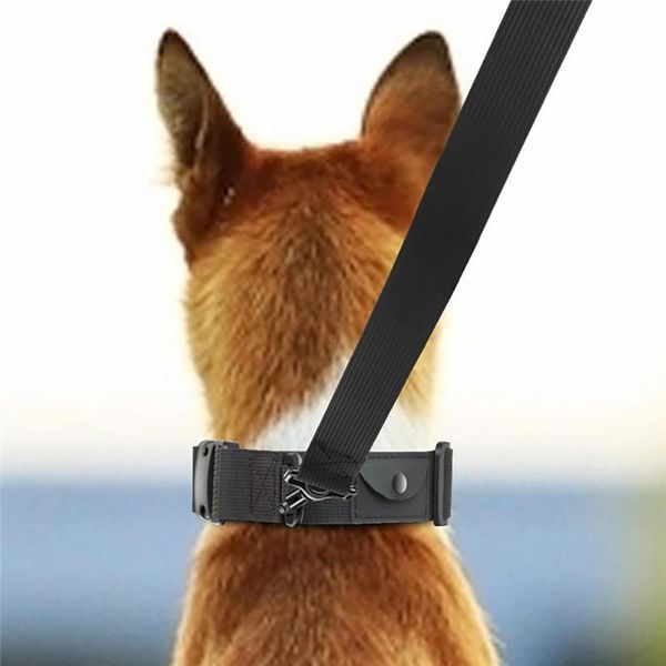 

dog collars & leashes training collar pet with leash set neck strap reflective nylon puppy tracker storage rope accessories