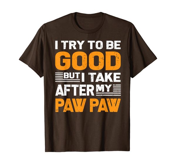 

I Try To Be Good But I Take After My Paw Paw Shirt Gift, Mainly pictures