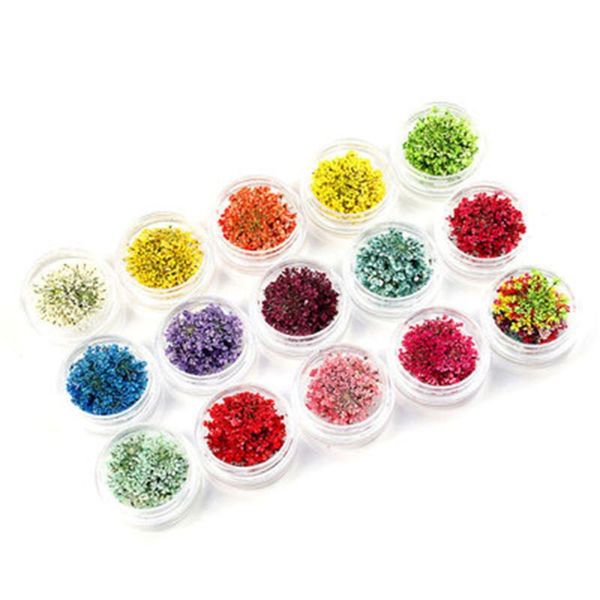 

decorative flowers & wreaths 20pcs gypsophila dry flower embossing snow bead with box shell nail jewelry making craft diy access holiday par
