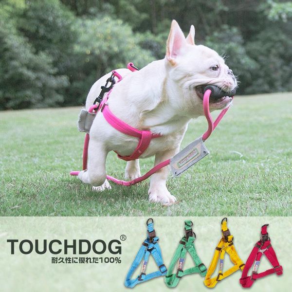 

dog harness cat and traction rope small koki teddy loop back set collars & leashes