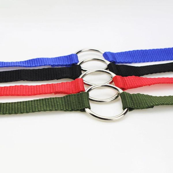 

dog collars & leashes leash two dogs