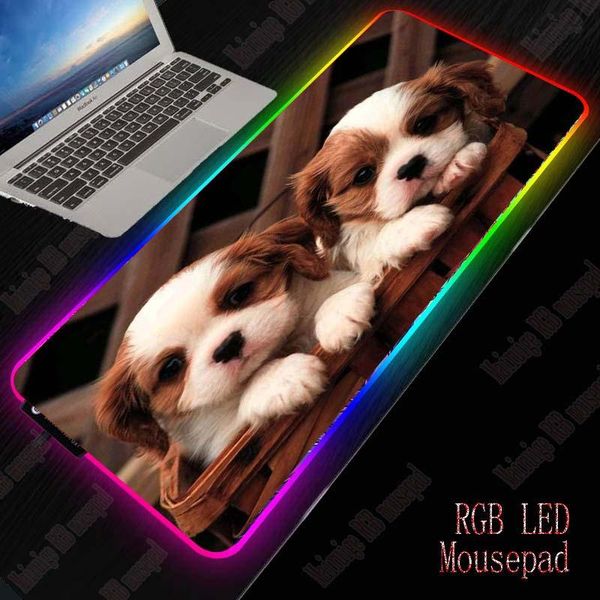 

mouse pads & wrist rests xgz cute dogs rgb gaming large pad gamer led computer mousepad big mat with backlight carpet keyboard desk mause