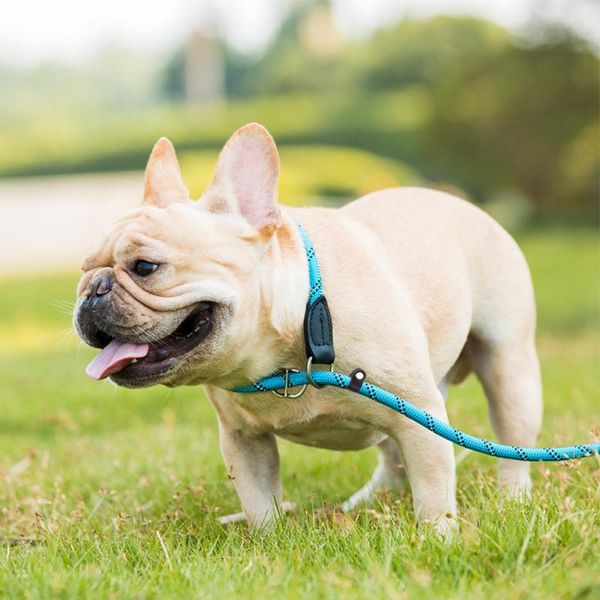 

dog leash nylon braided rope with soft handle pet hand holding p chain supplies collars & leashes