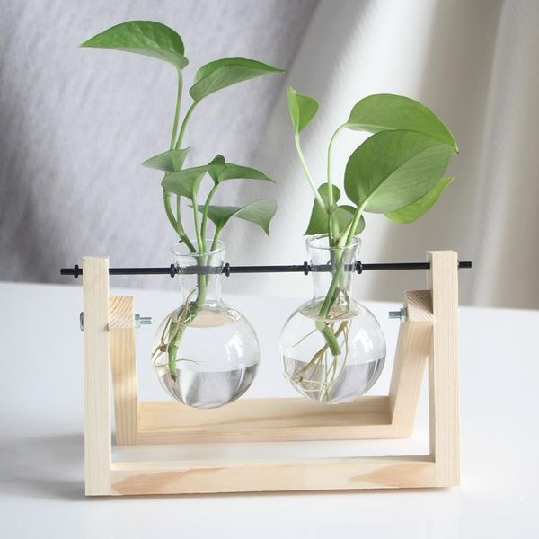 

vases bucolic creative hydroponic plants transparent wooden frame flower vase table small fresh container living room modern