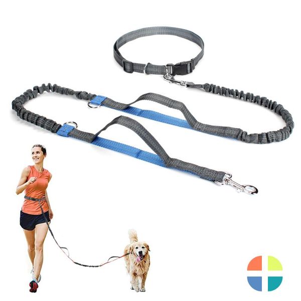 

hands dog leash for running dual bungees adjustable waist belt handle large dogs puppy bag pet accessories collars & leashes