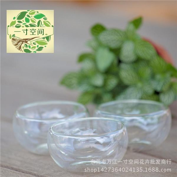 

vases succulent with double layer glass cup diy moss bottle micro landscape flower container