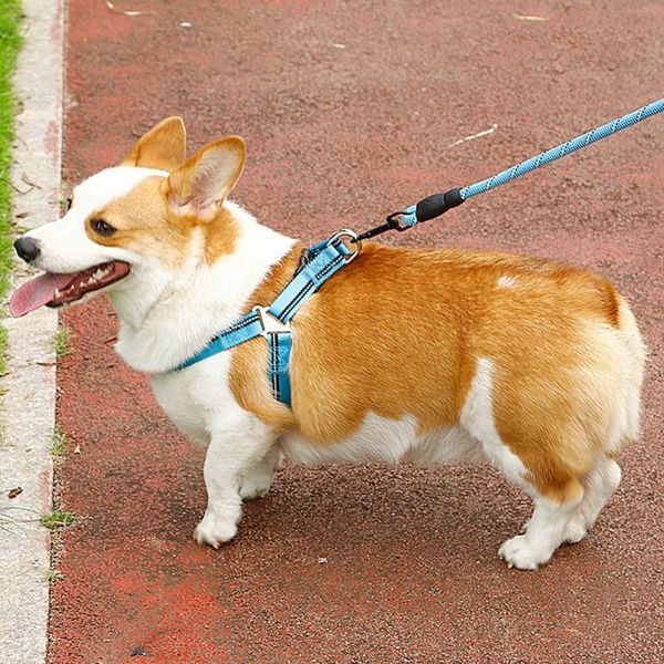 

om no pull dog harness adjustable gentle comfortable control for easy to wear and take off* collars & leashes