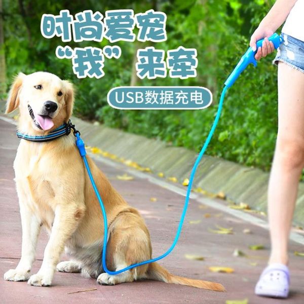 

dog collars & leashes usb date charging pet products led bulb luminate