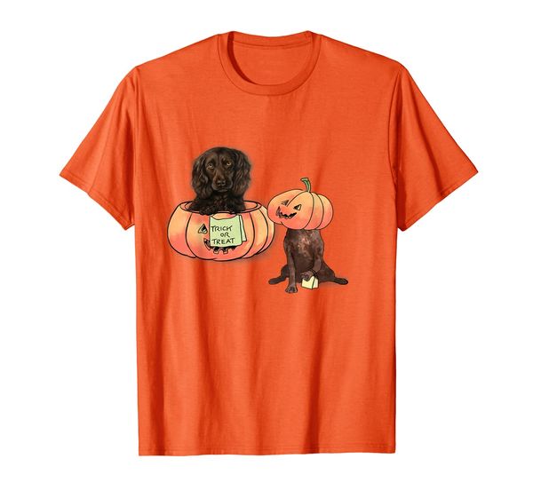 

boykin spaniel trick or treat pumpkin t shirt, White;black