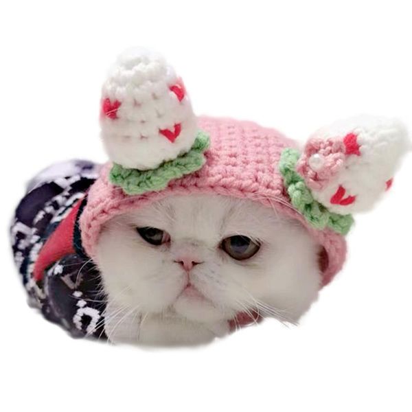 

cat costumes hat knitted decoration strawberry design dog winter headgear hand-knitted crochet leaky ear