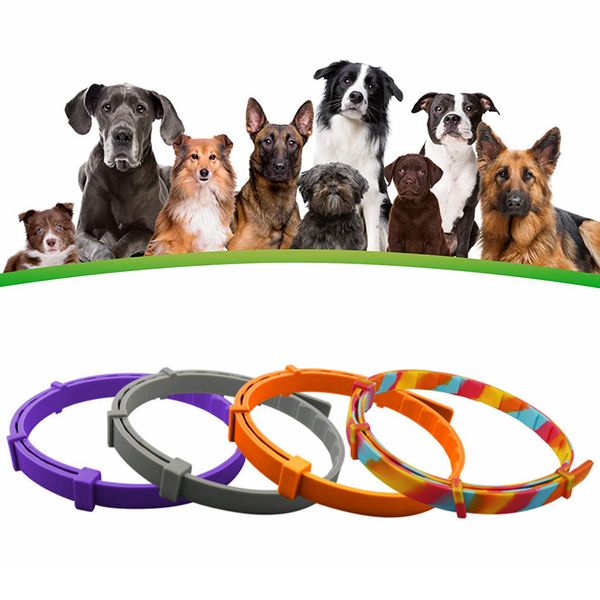 Hundehalsbänder zur Floh- und Zeckenprävention für Hunde, sicher, verstellbar, natürliches, hypoallergenes Halsband für Katzen, Einheitsgröße, 63,5 cm, 8 Insektenmonate, Schutz B17