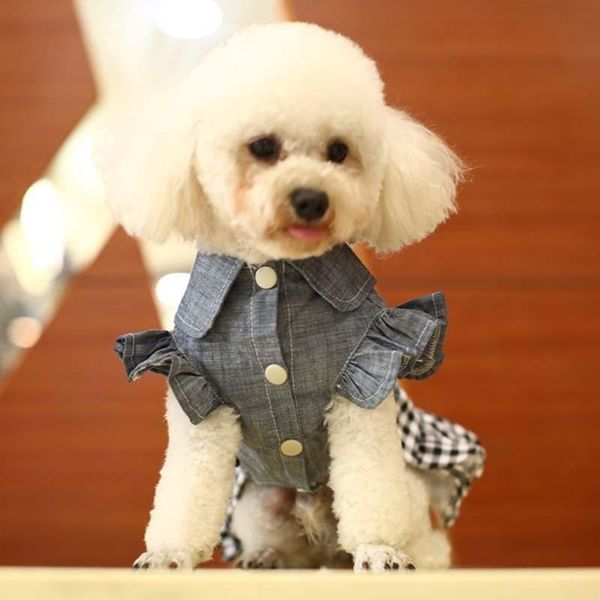 

dog apparel pet clothes spring and summer skirt thin small princess bow denim teddy