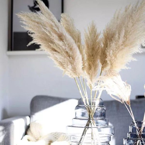 

80cm 5/10pcs wedding special pampas grass decor large size fluffy feather home decoration plants natural white dried flowers decorative & wr