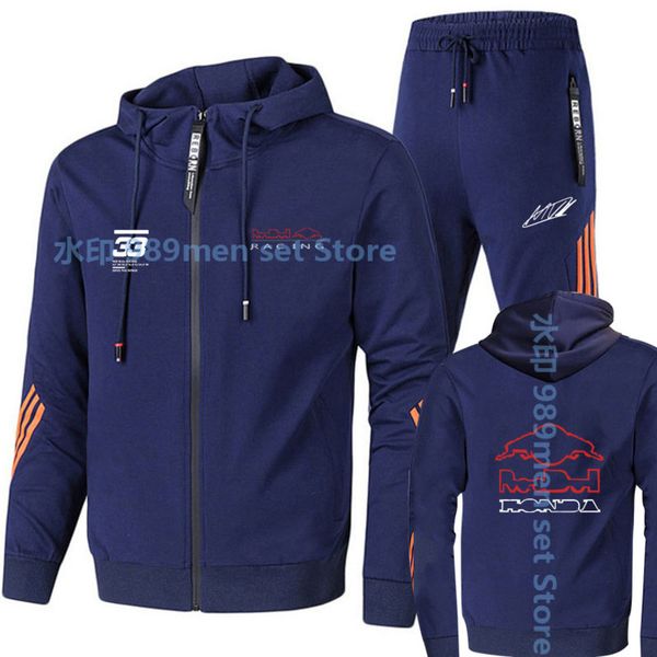 

men's hooded sweatshirt with f1 team , 2-piece set, men's suit, sportswear, racing fan et, f12021 edition, Gray